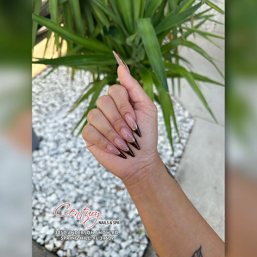 Century Nails